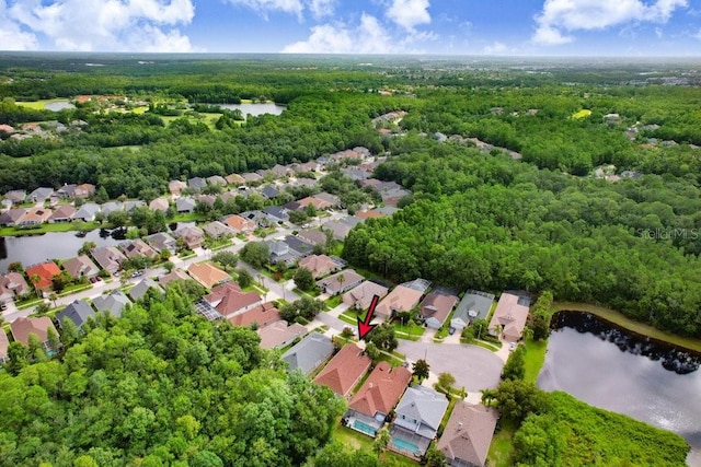 10408 Edgefield Pl, Tampa, FL 33626 - photo 28