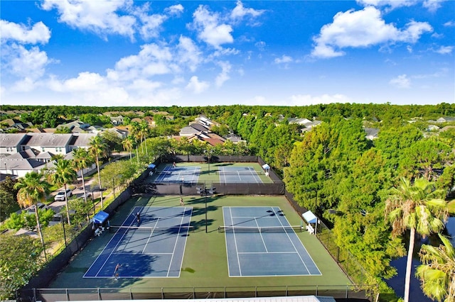 10408 Edgefield Pl, Tampa, FL 33626 - photo 40
