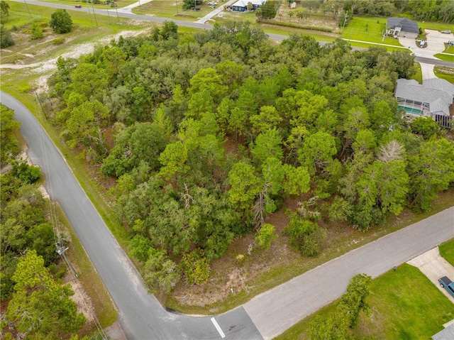 0000 Mansign Rd, Weeki Wachee, FL 34613 - photo 1