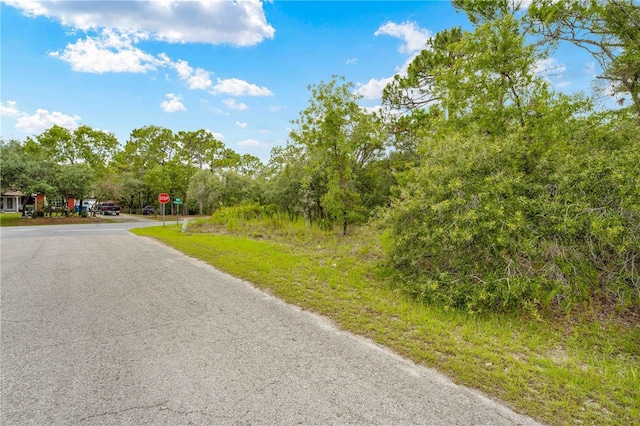 0000 Mansign Rd, Weeki Wachee, FL 34613 - photo 2