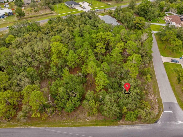 0000 Mansign Rd, Weeki Wachee, FL 34613 - photo 4