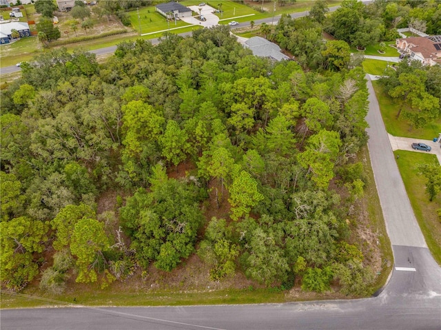 0000 Mansign Rd, Weeki Wachee, FL 34613 - photo 5