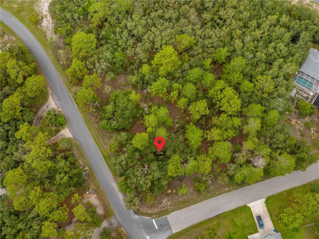 0000 Mansign Rd, Weeki Wachee, FL 34613 - photo 6
