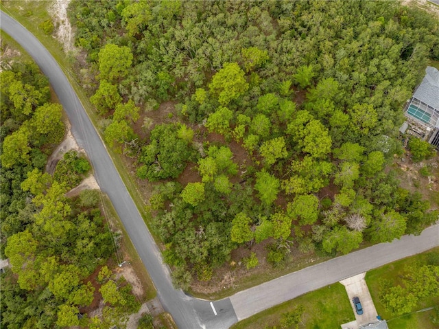 0000 Mansign Rd, Weeki Wachee, FL 34613 - photo 7