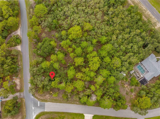 0000 Mansign Rd, Weeki Wachee, FL 34613 - photo 8