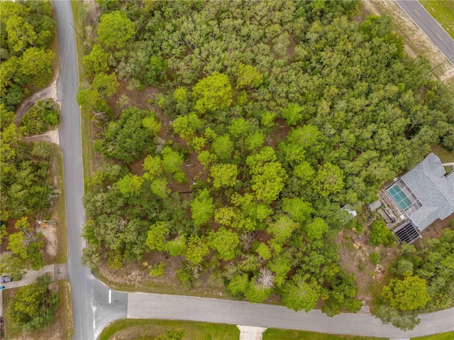 0000 Mansign Rd, Weeki Wachee, FL 34613 - photo 9