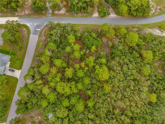 0000 Mansign Rd, Weeki Wachee, FL 34613 - photo 11