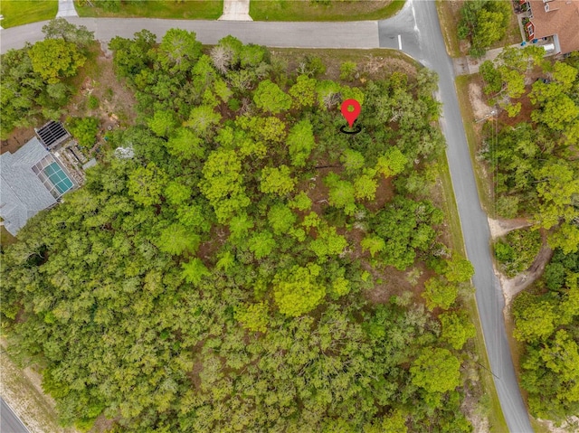 0000 Mansign Rd, Weeki Wachee, FL 34613 - photo 12