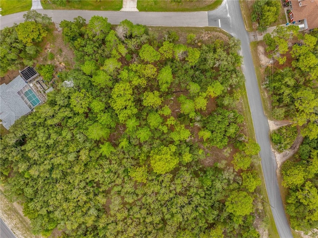 0000 Mansign Rd, Weeki Wachee, FL 34613 - photo 13