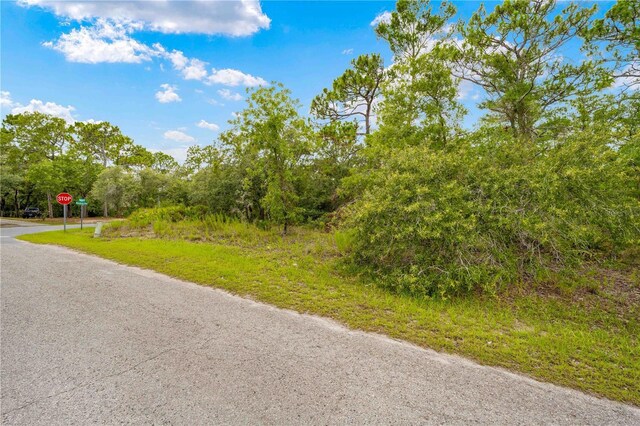 0000 Mansign Rd, Weeki Wachee, FL 34613 - photo 14