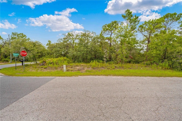 0000 Mansign Rd, Weeki Wachee, FL 34613 - photo 15
