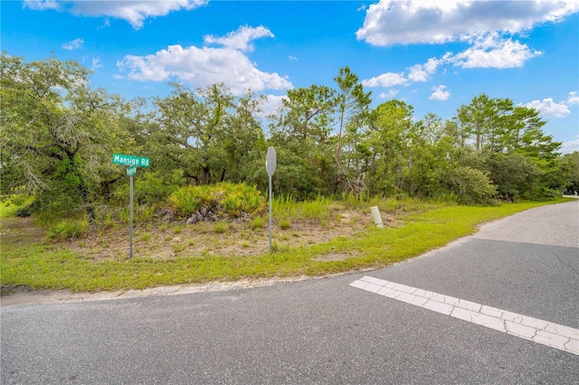 0000 Mansign Rd, Weeki Wachee, FL 34613 - photo 16