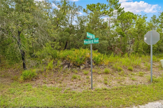 0000 Mansign Rd, Weeki Wachee, FL 34613 - photo 17