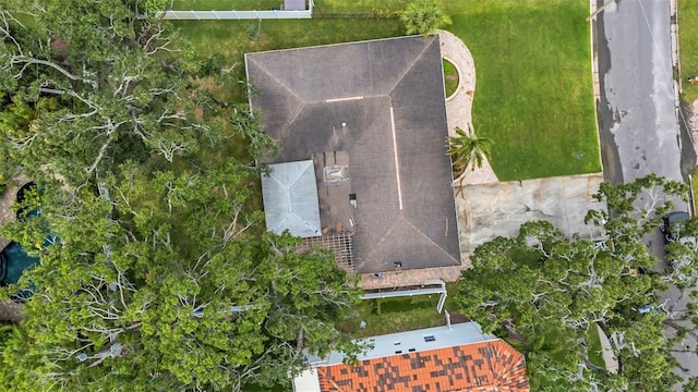 5012 W Homer Ave, Tampa, FL 33629 - photo 7