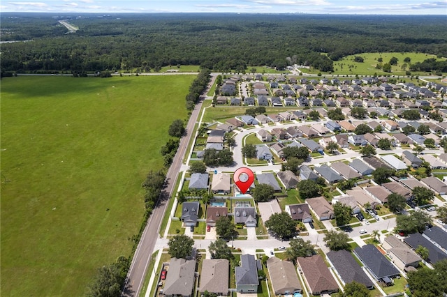 24934 Oakhaven Ct, Lutz, FL 33559 - photo 75