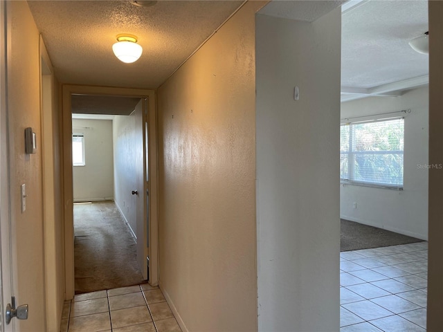4500 37th St S Unit 211, Saint Petersburg, FL 33711 - photo 13