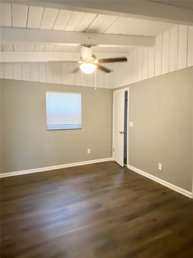 913 E 123rd Ave, Tampa, FL 33612 - photo 4