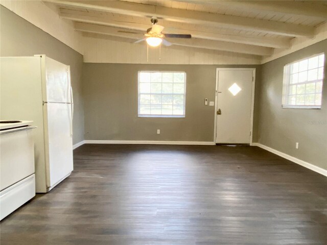 913 E 123rd Ave, Tampa, FL 33612 - photo 6