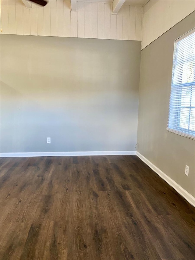 913 E 123rd Ave, Tampa, FL 33612 - photo 21