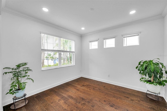 10845 Sundrift Dr, Tampa, FL 33647 - photo 13