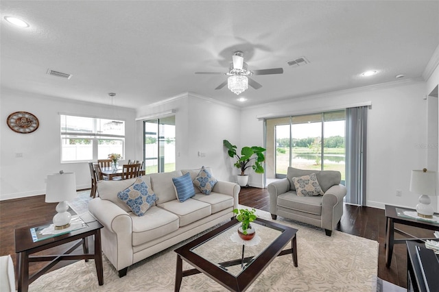 10845 Sundrift Dr, Tampa, FL 33647 - photo 15