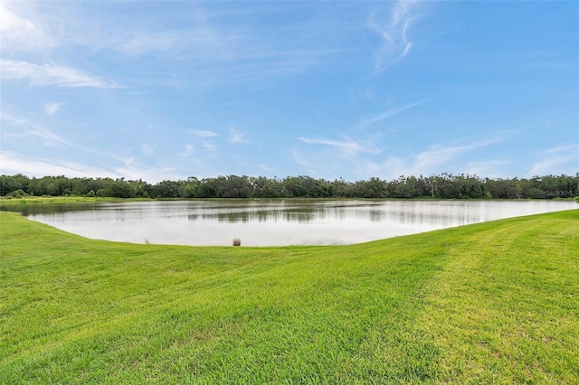 10845 Sundrift Dr, Tampa, FL 33647 - photo 48
