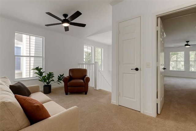 400 S Willow Ave Unit D, Tampa, FL 33606 - photo 19