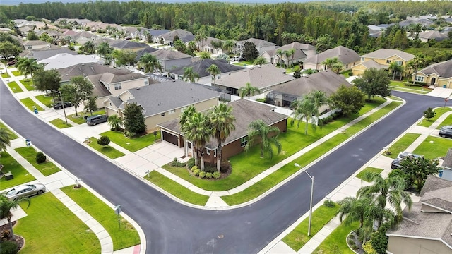 31518 Bearded Oak Dr, Wesley Chapel, FL 33543 - photo 2