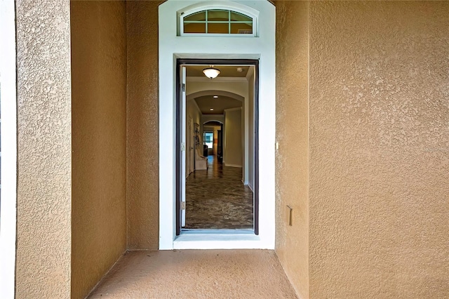 31518 Bearded Oak Dr, Wesley Chapel, FL 33543 - photo 3
