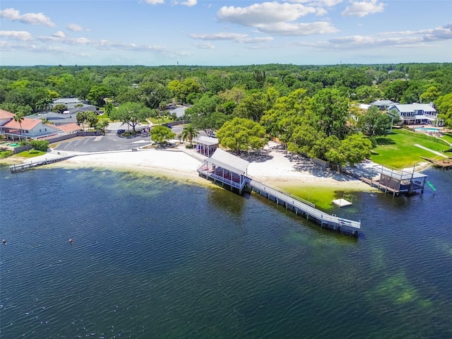 3310 Mcfarland Rd, Tampa, FL 33618 - photo 71