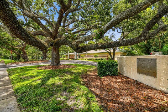 3310 Mcfarland Rd, Tampa, FL 33618 - photo 73