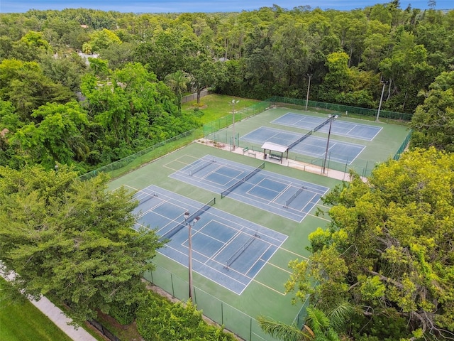3310 Mcfarland Rd, Tampa, FL 33618 - photo 75