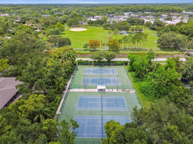 3310 Mcfarland Rd, Tampa, FL 33618 - photo 76