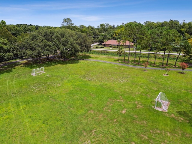 3310 Mcfarland Rd, Tampa, FL 33618 - photo 88