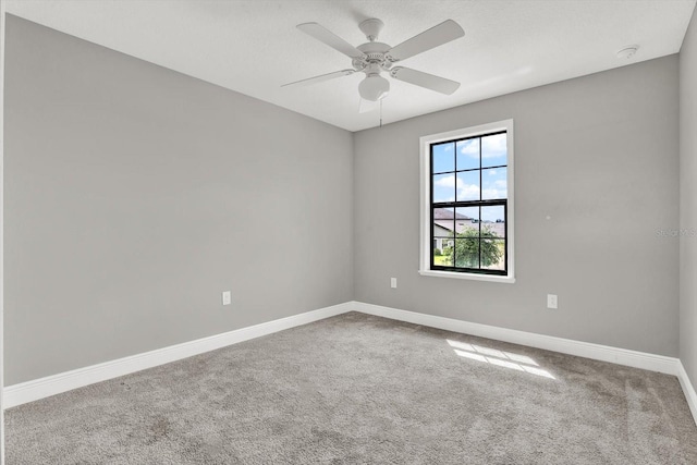 5161 Brickwood Rise Dr, Wimauma, FL 33598 - photo 11