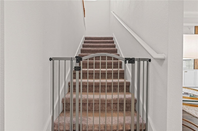 22034 Storybook Cabin Way, Land O Lakes, FL 34637 - stairs with a textured wall