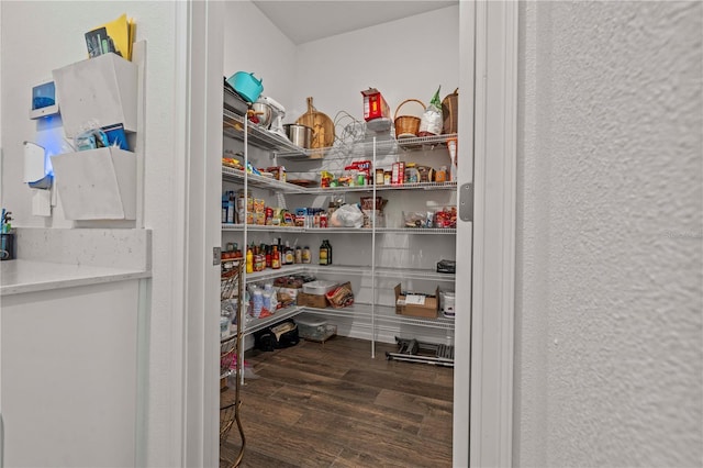 22034 Storybook Cabin Way, Land O Lakes, FL 34637 - view of pantry