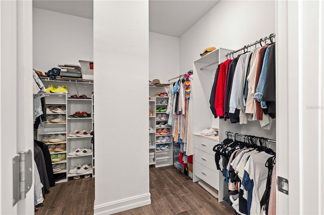 22034 Storybook Cabin Way, Land O Lakes, FL 34637 - walk in closet with wood finished floors