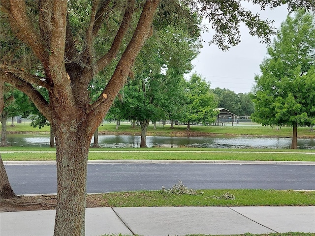 31035 Masena Dr, Wesley Chapel, FL 33545 - photo 18