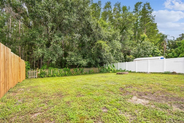 12315 Hidden Brook Dr, Tampa, FL 33624 - view of fenced backyard