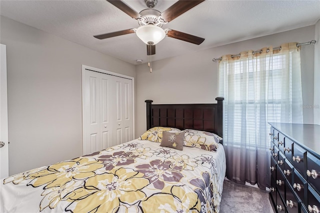 5237 White Chicory Dr, Apollo Beach, FL 33572 - photo 25