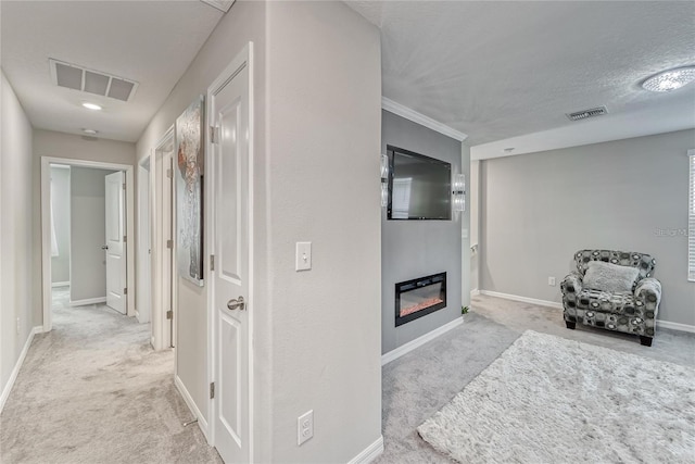 5237 White Chicory Dr, Apollo Beach, FL 33572 - photo 21