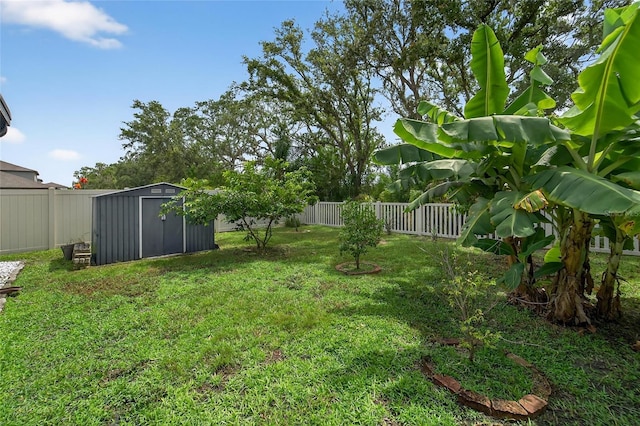 5237 White Chicory Dr, Apollo Beach, FL 33572 - photo 55