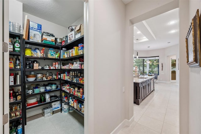 1042 Tuscany Dr, Trinity, FL 34655 - storage area with a sink