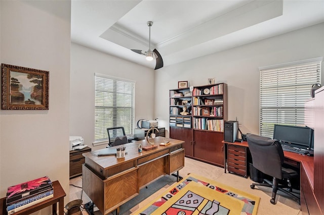 1042 Tuscany Dr, Trinity, FL 34655 - office space with a tray ceiling, ceiling fan, and light colored carpet