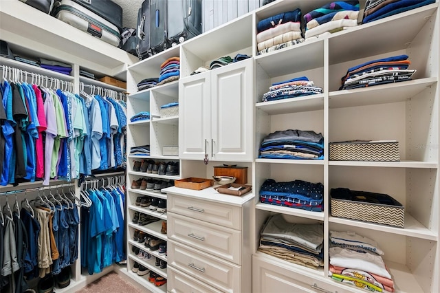 1042 Tuscany Dr, Trinity, FL 34655 - walk in closet with light carpet