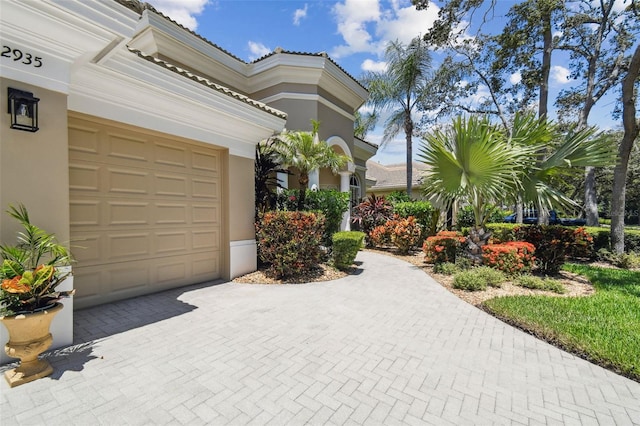 2935 Grey Oaks Blvd, Tarpon Springs, FL 34688 - photo 5
