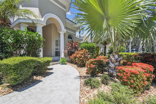 2935 Grey Oaks Blvd, Tarpon Springs, FL 34688 - photo 6