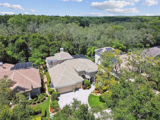 2935 Grey Oaks Blvd, Tarpon Springs, FL 34688 - photo 69