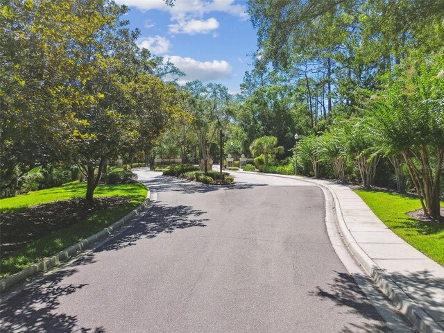 2935 Grey Oaks Blvd, Tarpon Springs, FL 34688 - photo 75